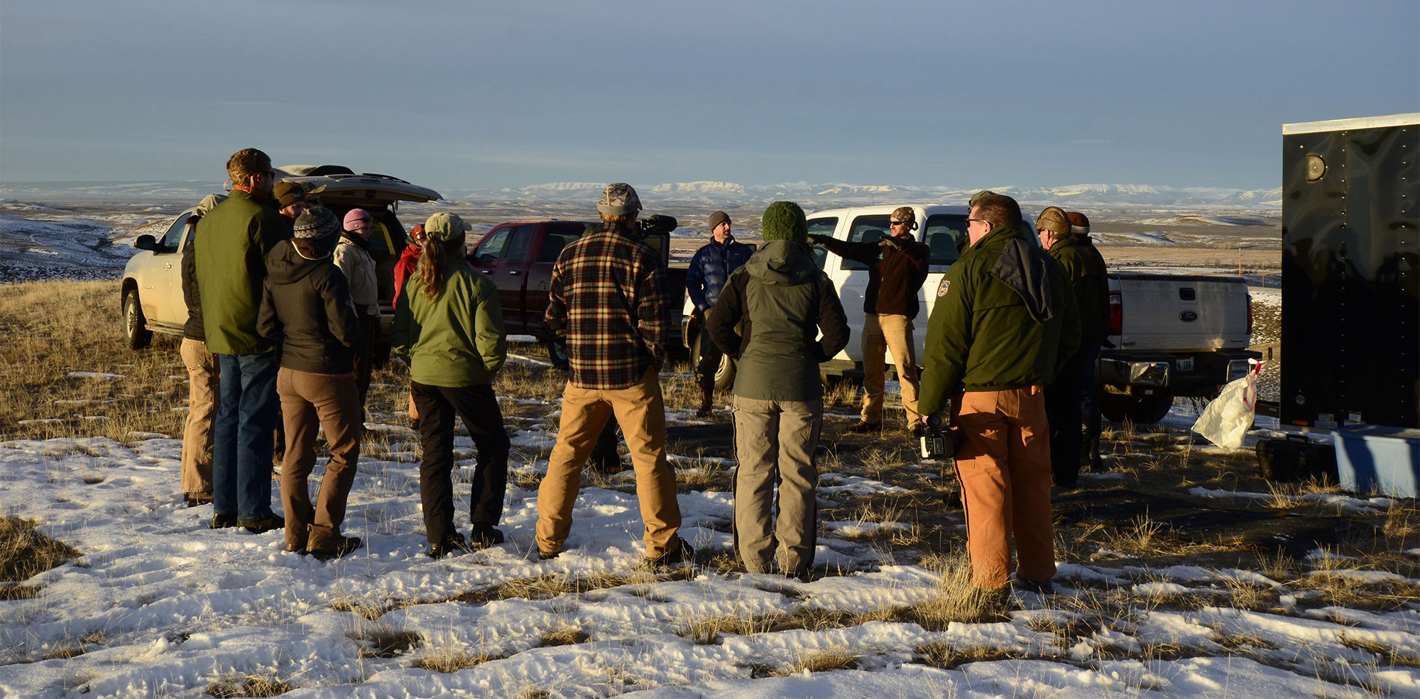 A group stands in a circle at an animal capture site. There is snow on the ground with grasses peeking out and there are three vehicles and a trailer in the background.