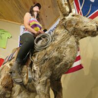 Jakopak Rhiannon Jakopak sits on a giant saddled jackalope, staring majesticly into the distance.