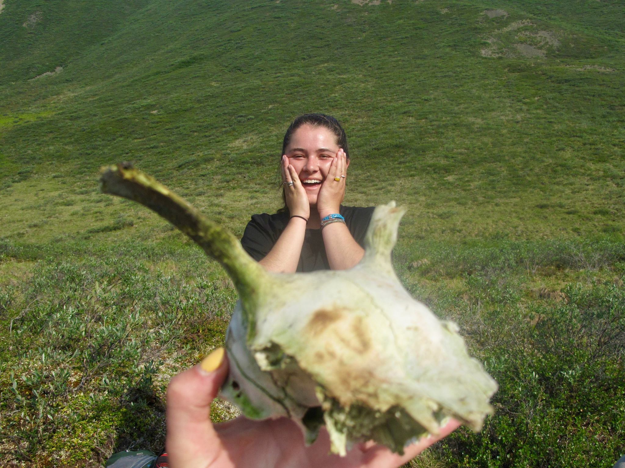 Rebecca is thrilled by a sheep skull.