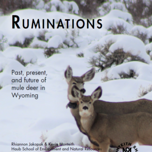 Cover photo for Ruminations report.