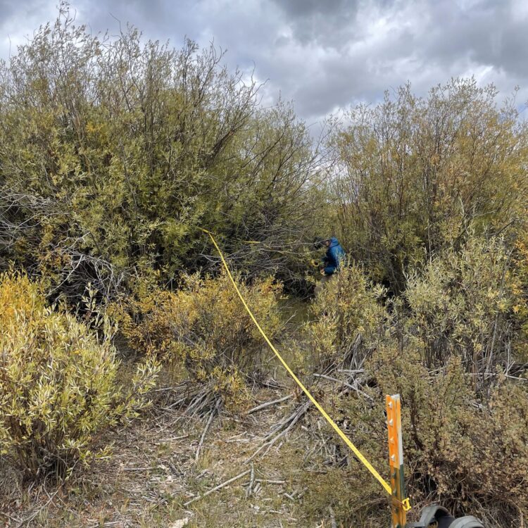 transect-resized